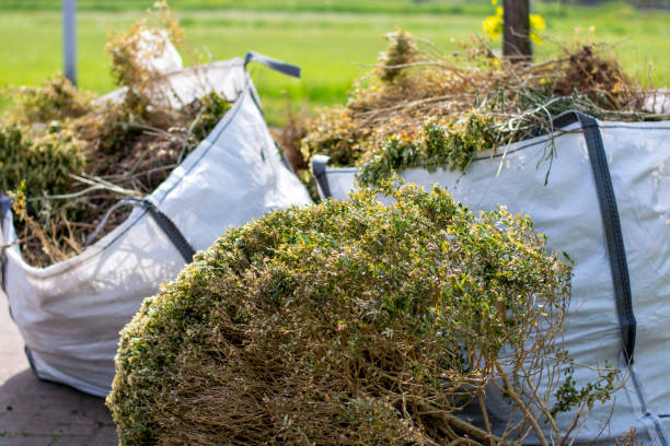 Best Furniture Removal Near Me  in Sparta, NC
